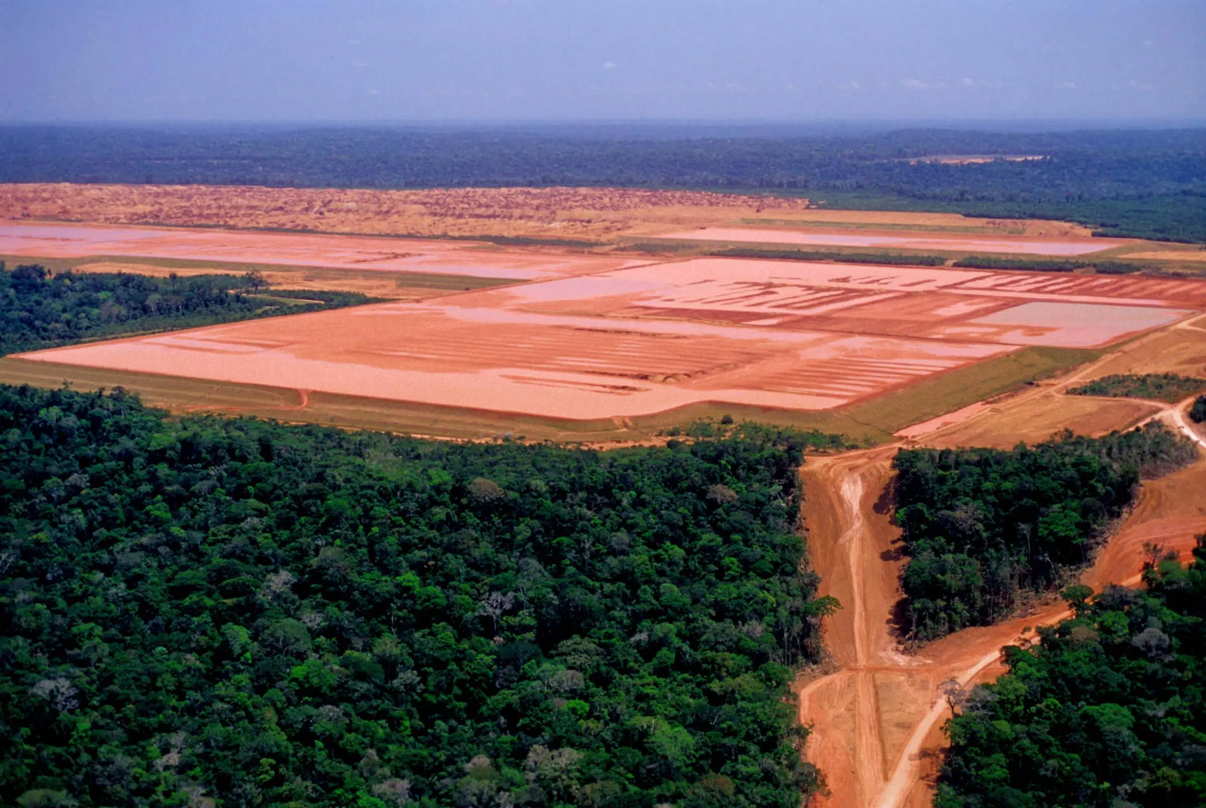 Deforestation in the Amazon rainforest